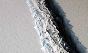 Icebergue gigante desprende-se da Antártida