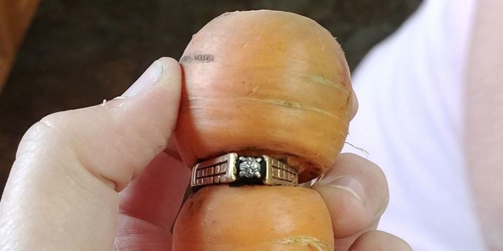 Esta mulher perdeu o anel de noivado há 13 anos. Agora, encontrou-o numa cenoura!