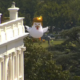 Galinha insuflável gigante &#8220;aterra&#8221; na Casa Branca em protesto contra Trump