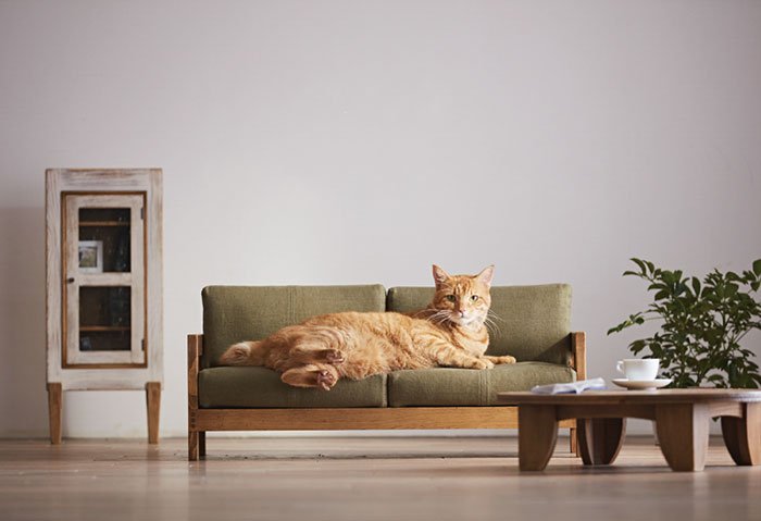 O fabuloso mobiliário em miniatura para gatos, que está a conquistar as redes sociais