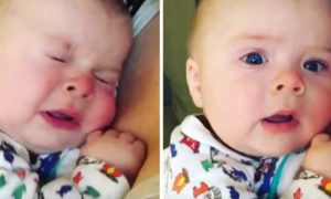 O que este bebé diz depois de dar um espirro, é para derreter de fofura