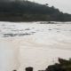 Tejo: novo vídeo mostra o &#8220;manto de espuma&#8221; que ainda cobre o rio