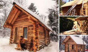 Construiu cabana na floresta, sem ferramentas eléctricas, e o resultado é GENIAL