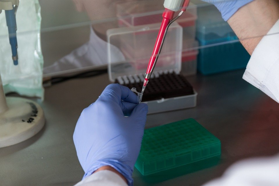 Cancro: Novo teste sanguíneo pode detetar a doença com antecedência