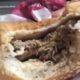 Cliente encontra larvas em hambúrguer num restaurante Burger King no Brasil