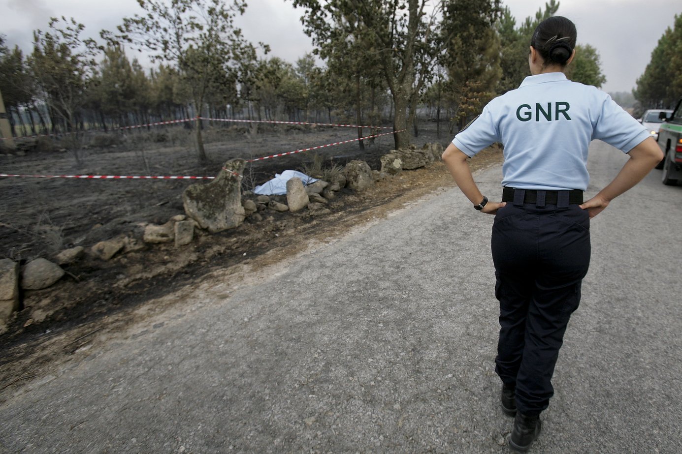 Costa alerta para papel da GNR na fiscalização da limpeza das matas