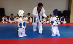 Video: Este &#8220;combate&#8221; de Taekwondo entre meninos de 3 anos é a coisa mais fofa