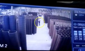 Video: empregado de armazém teve um dia para esquecer