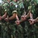 Próximo contingente militar português parte em setembro para República Centro-Africana