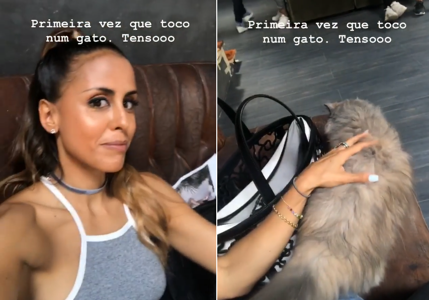 Video: Carolina Patrocínio toca num gato pela primeira vez e mostra reação aos fãs