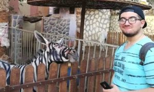 Jardim zoológico pinta burro às riscas para enganar turistas