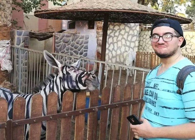 Jardim zoológico pinta burro às riscas para enganar turistas