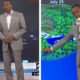 Video: Cão interrompe previsão da meteorologia. Apresentador reagiu da melhor forma