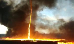 Video: Bombeiros captam um impressionante &#8220;tornado de fogo&#8221;