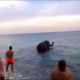 Video: Elefante escapa de circo e vai dar &#8220;mergulho&#8221; no mar