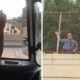 Video: Motorista convence homem a não saltar de ponte oferecendo-lhe cervejas