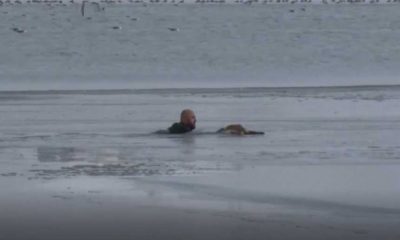 Video: Polícia turco mergulha em lago gelado para salvar um cão