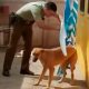 Video: Cão &#8220;abraça&#8221; polícia que o resgatou depois de ficar enrolado num toldo