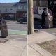 Video: Homem rouba caixa multibanco e tenta transportá-la de&#8230; autocarro