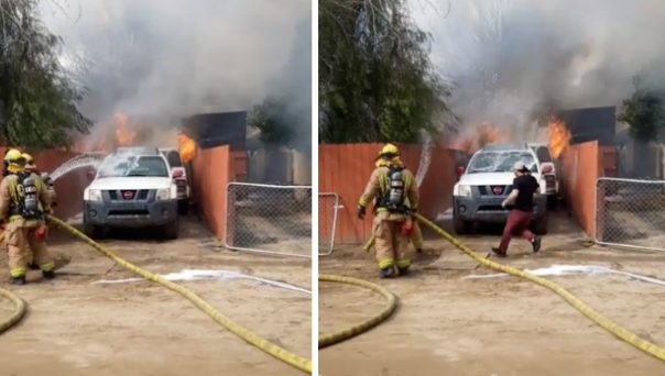 Video: Resgatou o seu cão das chamas, mesmo contra as indicações dos bombeiros