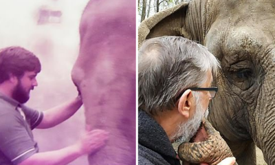 Video: Tratador reencontra elefante de que cuidou há 30 anos atrás
