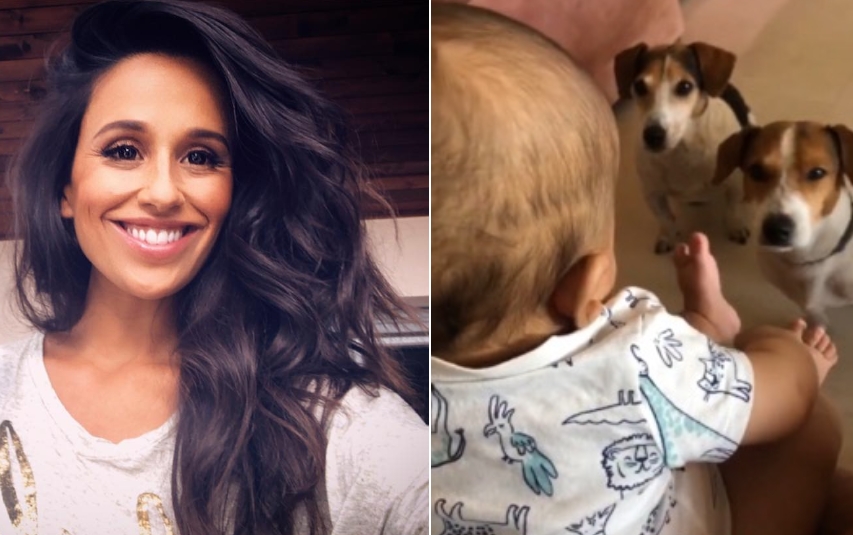Video: Rita Pereira partilha momento &#8220;encantador&#8221; entre o filho bebé e as cadelinhas