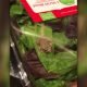 Video: Família encontra rã viva em pacote de salada &#8220;biológica&#8221;