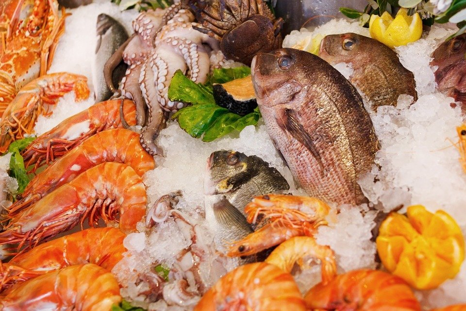 11 dias de gastronomia e festa no Festival Sabores do Mar em Peniche
