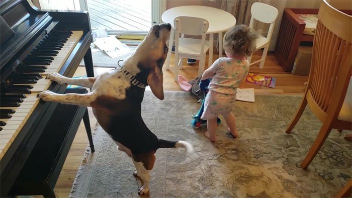 Video: Pai filma cão a &#8220;tocar piano&#8221; e filha bebé a dançar