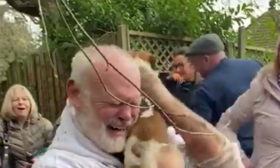 Video: Homem chora de emoção ao salvar a sua cadela de morrer enterrada