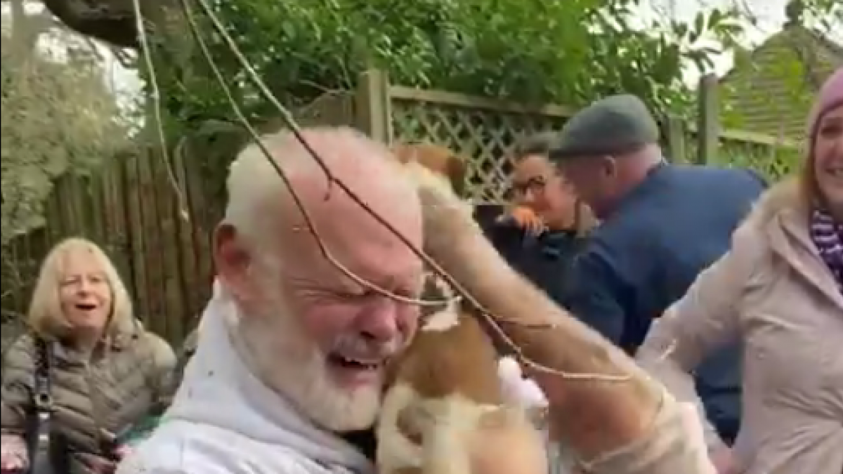 Video: Homem chora de emoção ao salvar a sua cadela de morrer enterrada
