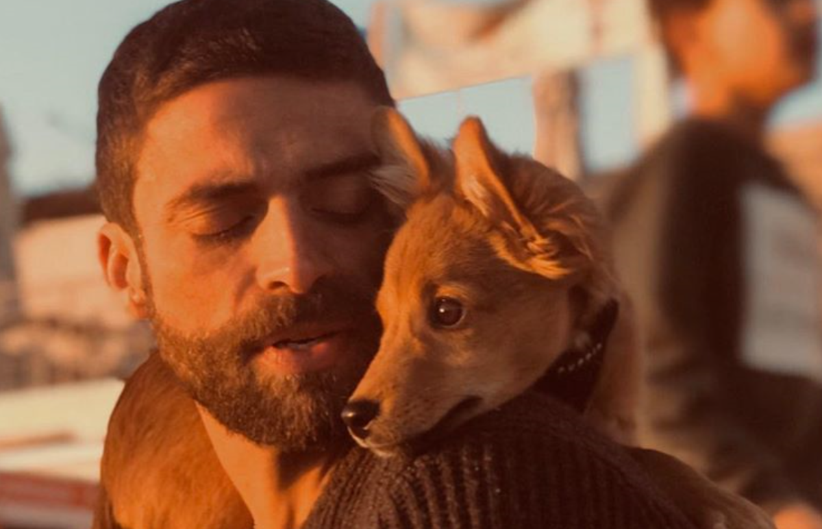Cão de Diogo Amaral foi &#8220;pontapeado por um humano sem escrúpulos&#8221;