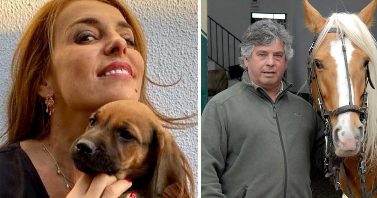 Catarina Furtado indignada com estado dos cães de João Moura: &#8220;Não nos podemos calar&#8230;&#8221;