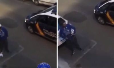 Vídeo: Homem apanhado pela polícia na rua a passear cão&#8230; de peluche