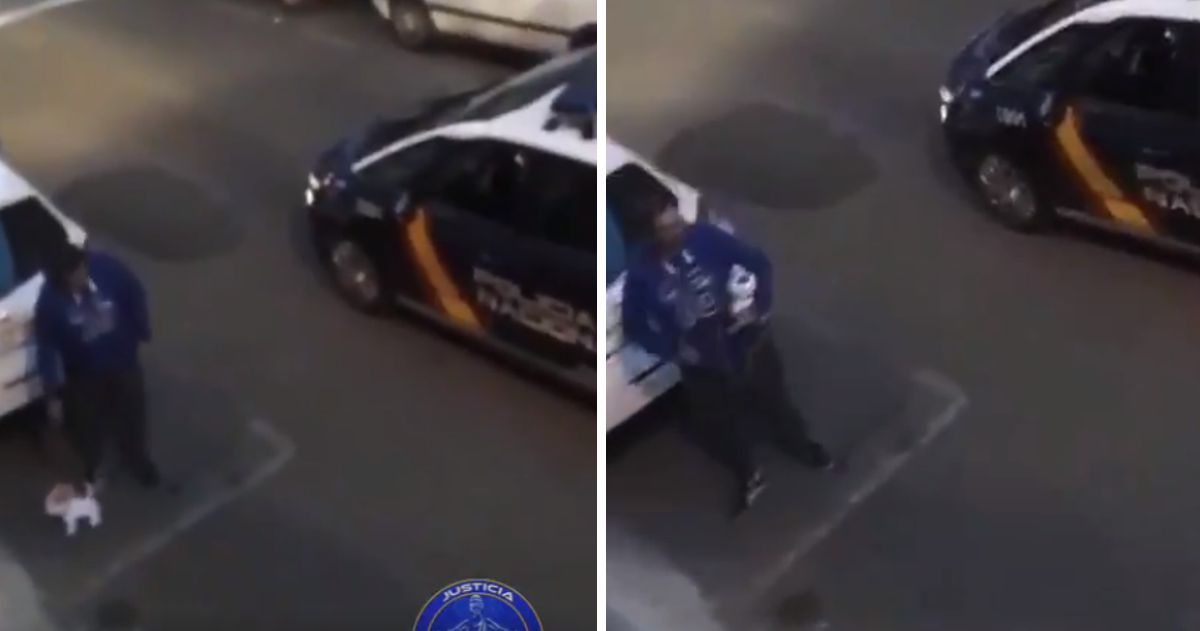 Vídeo: Homem apanhado pela polícia na rua a passear cão&#8230; de peluche