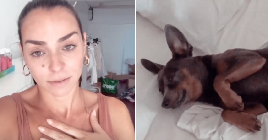Vídeo: Vanessa Martins &#8220;apanha&#8221; susto com o seu cãopanheiro: &#8220;Foi para as urgências&#8230;&#8221;