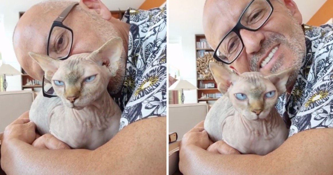 Video: Goucha revela momento de ternura com a sua gata: &#8220;Hoje sou eu quem mima&#8221;