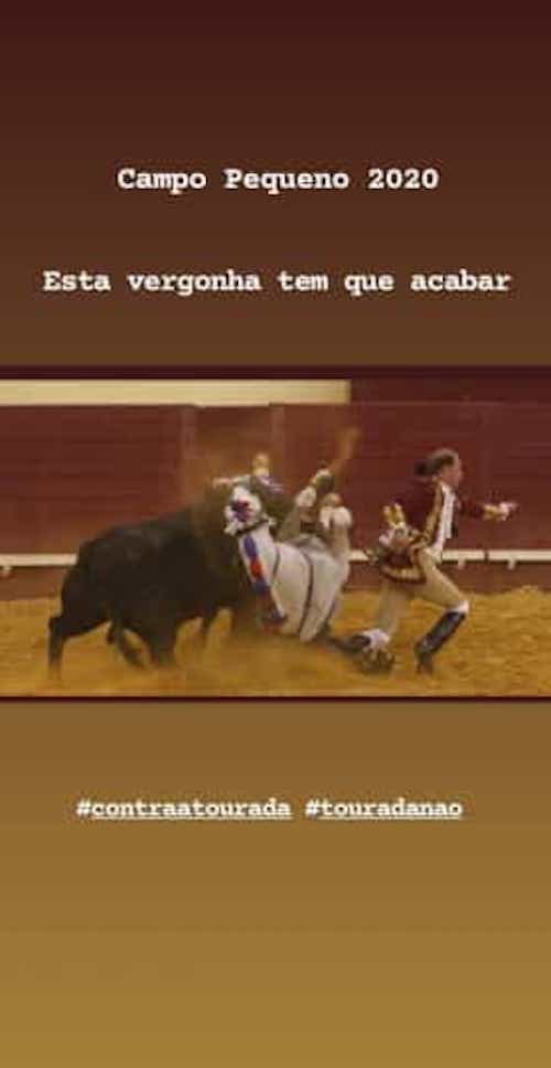 Sofia Aparício revoltada com tourada no Campo Pequeno: &#8220;Esta vergonha tem de acabar&#8230;&#8221;