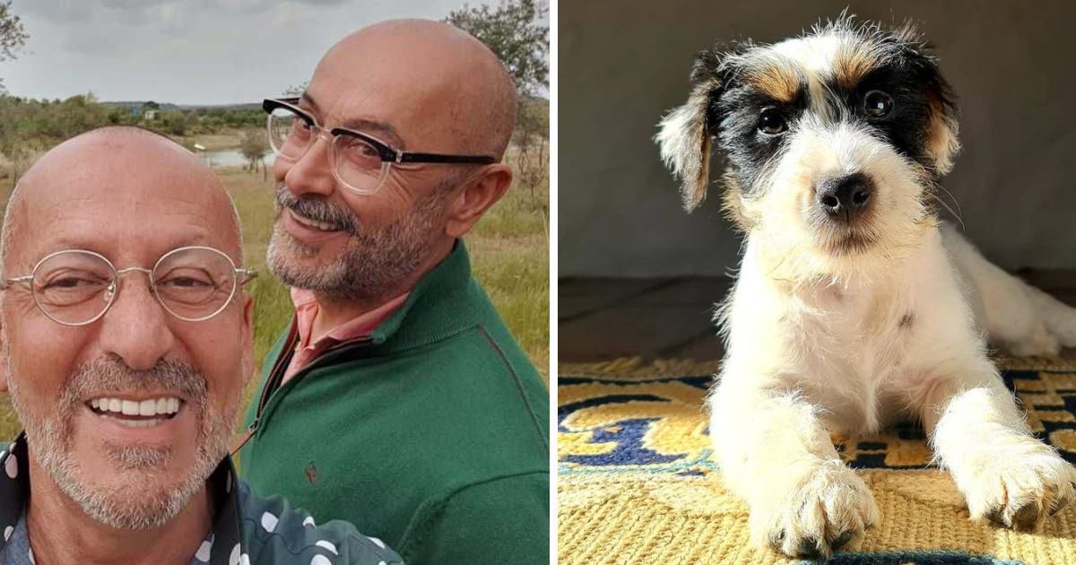Manuel Luís Goucha revela novo &#8220;visual&#8221; do seu cãopanheiro: &#8220;O Monty foi ao baeta&#8221;