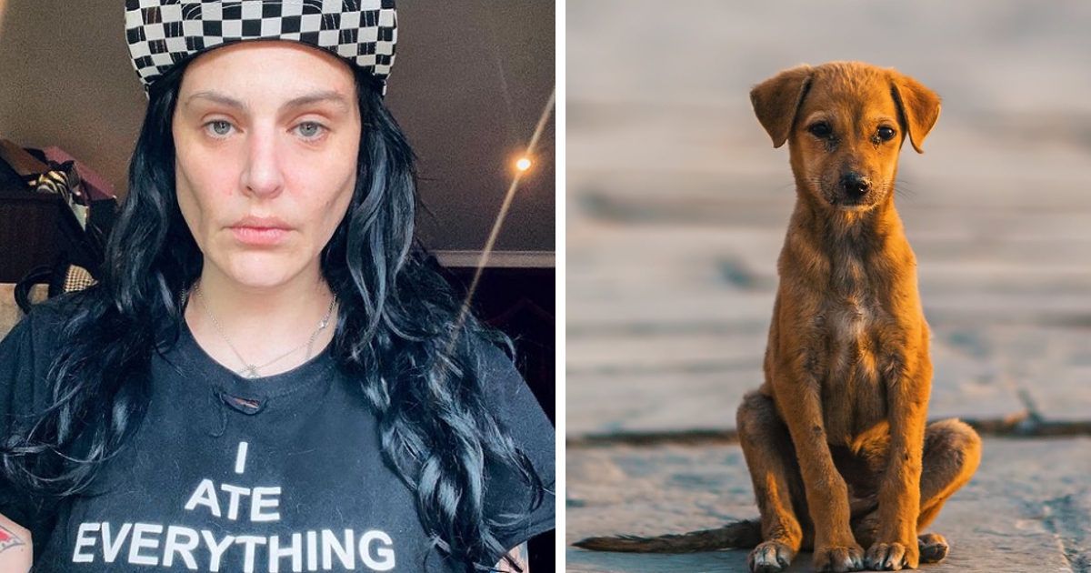 Sónia Tavares indignada com abandono de cães adotados no confinamento: &#8220;Oh minhas merdas&#8230;&#8221;