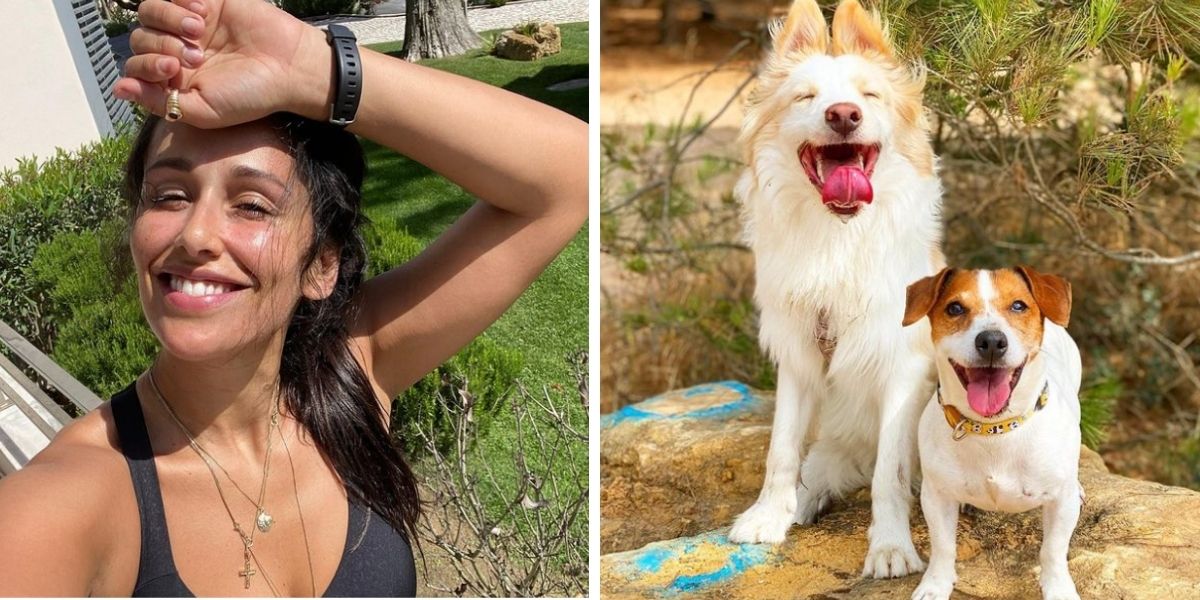 Rita Pereira encanta fãs: &#8220;Amo fazer os cães felizes&#8230; Vê-los sorrir&#8221;