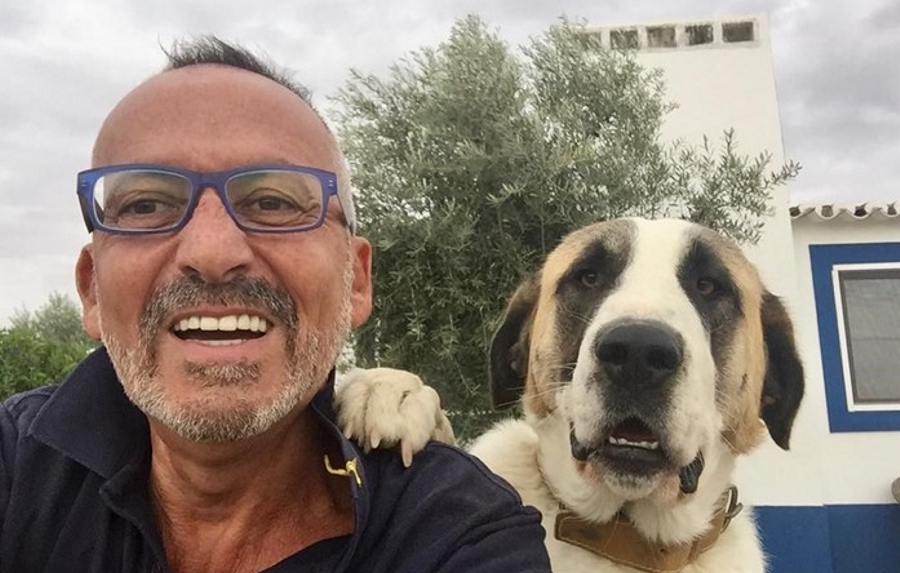 Goucha mostra &#8220;vida de cão&#8221; no monte e encanta fãs: &#8220;Lindos e felizes….adorei🙏&#8221;