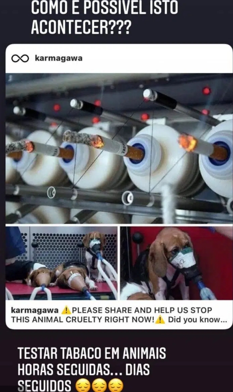 Cláudia Vieira revoltada com testes em cães: “Como é que isto é possível?”
