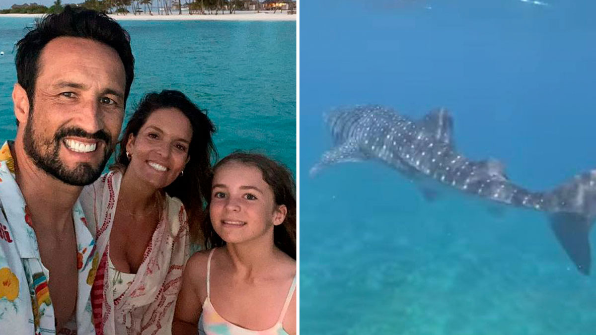 Diana Chaves mostra-se a nadar ao lado de tubarão e seguidores reagem: “Que medo, deve ser perigoso…”