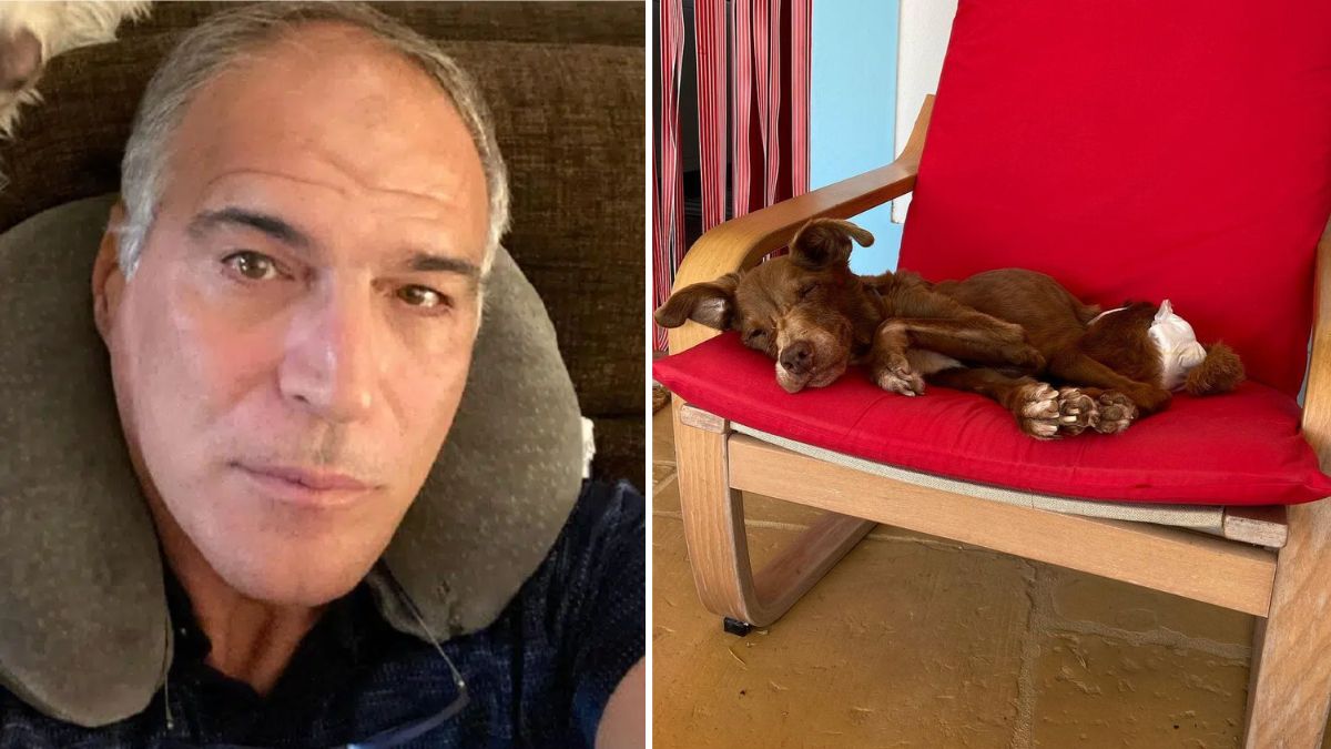 Rodrigo Guedes de Carvalho emociona seguidores com foto da cadela: &#8220;Quando tiver de partir, partirá serenamente&#8230;&#8221;