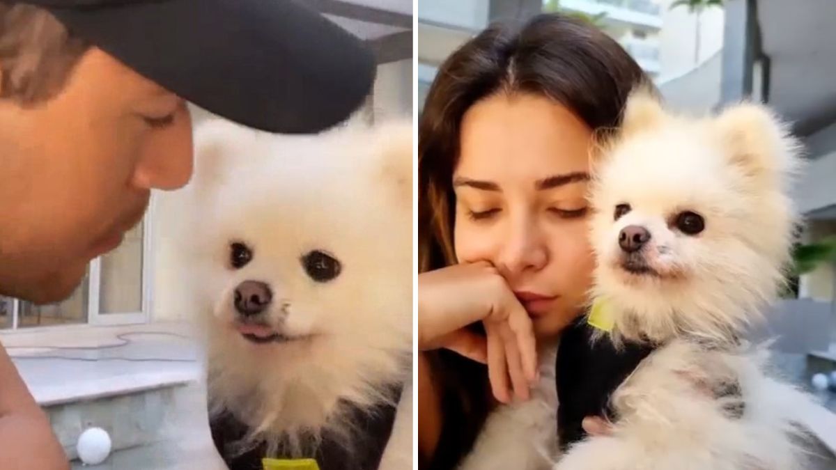 Que fofura! Bruna Gomes revela momento ternurento entre Bernardo Sousa e o seu cão