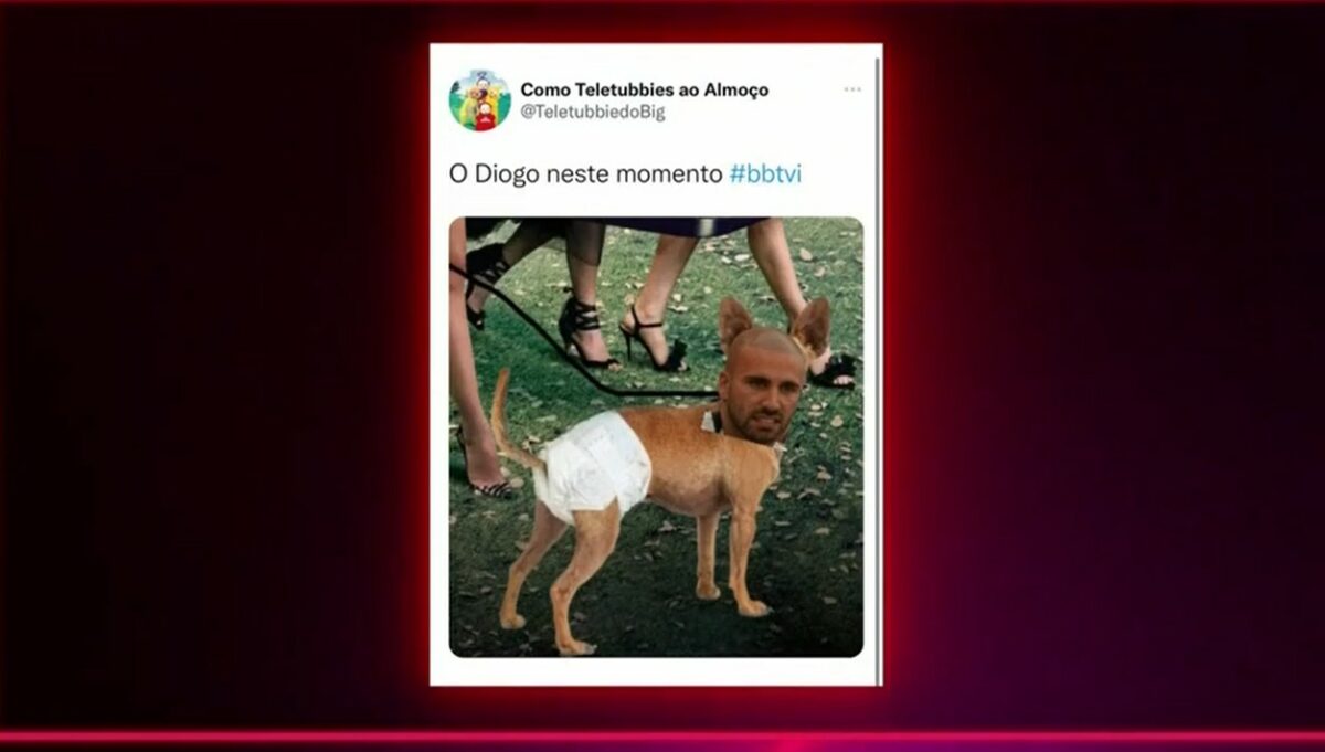 TVI alvo de críticas após comparação de Diogo Marques a um cão: &#8220;Passaram o meme, não vale tudo&#8230;&#8221;
