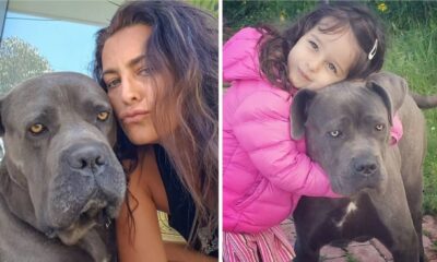 Andreia Dinis recorda dia em que adotou o seu cão e declara-se: &#8220;O patudo mais lindo&#8230;&#8221;