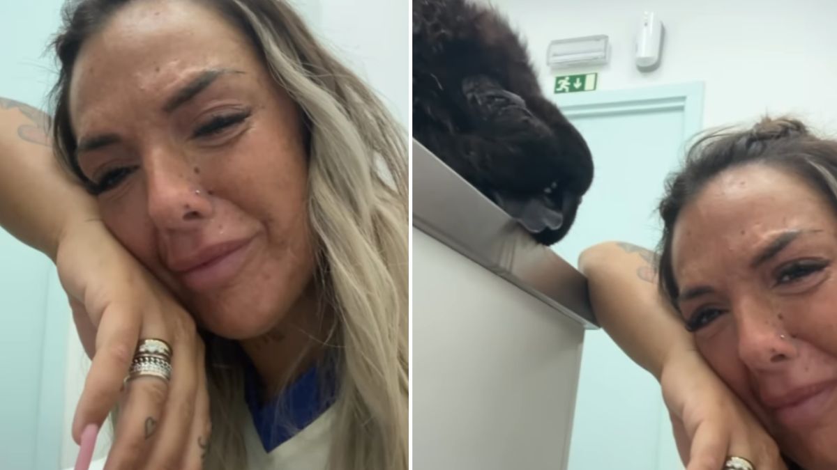 Cláudia Nayara desolada após morte do cão. Foi envenenado