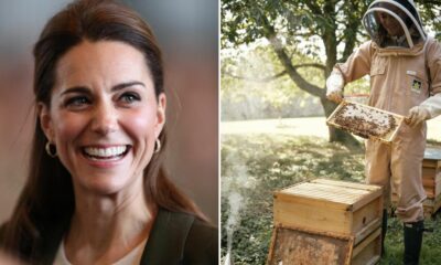 Kate, a apicultora! Princesa de Gales aparece vestida a rigor para apoiar causa